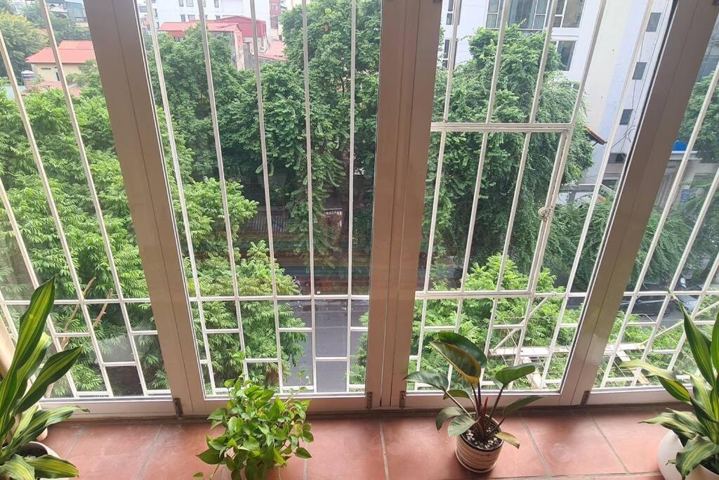 Cuc Cu Nest Hanoi